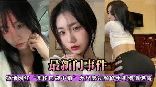 （网传）最新门事件，微博网红悲伤口袋小狗，大尺度视频修手机惨遭泄露