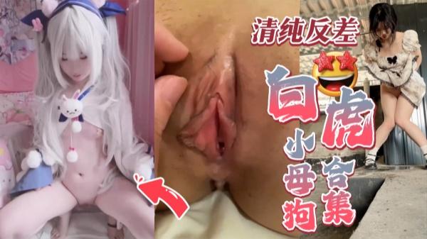 清纯反差白虎小母狗合集