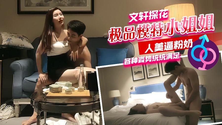【文轩探花】极品模特小姐姐人美逼粉奶各种姿势统统满足
