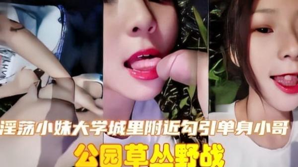 淫荡小妹大学城里附近勾引单身小哥公园草丛野战