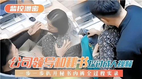 公司领导和秘书探讨成人视频，一步一步扒开秘书内裤圈过程实录_返回