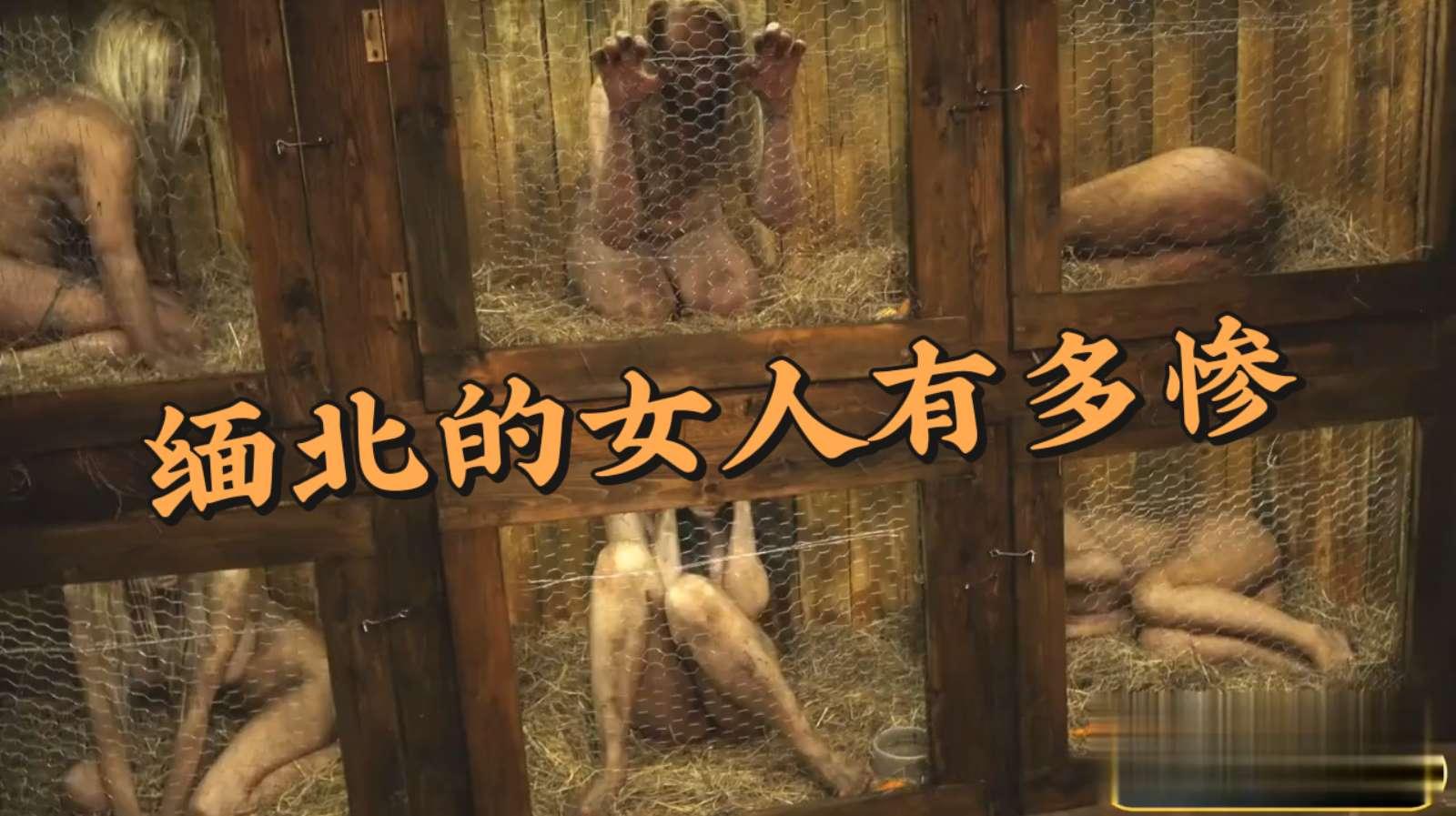 被关在缅北的女真人惨