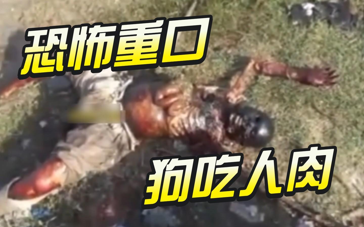 【暗网重口】狗吃人肉