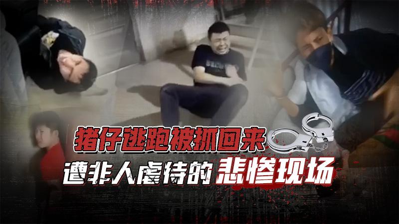 猪仔逃跑被抓回来遭受非人虐待的惨烈现场