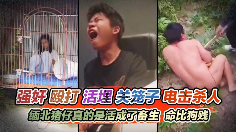 【真正缅北】强奸殴打辱骂杀人电击每天都在发生