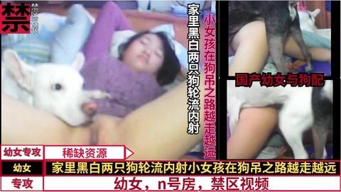 家里黑白两只狗轮流内射小女孩在狗吊之路越走越远