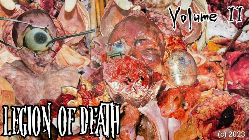 黑暗军团II-极致血腥湘观看！！！